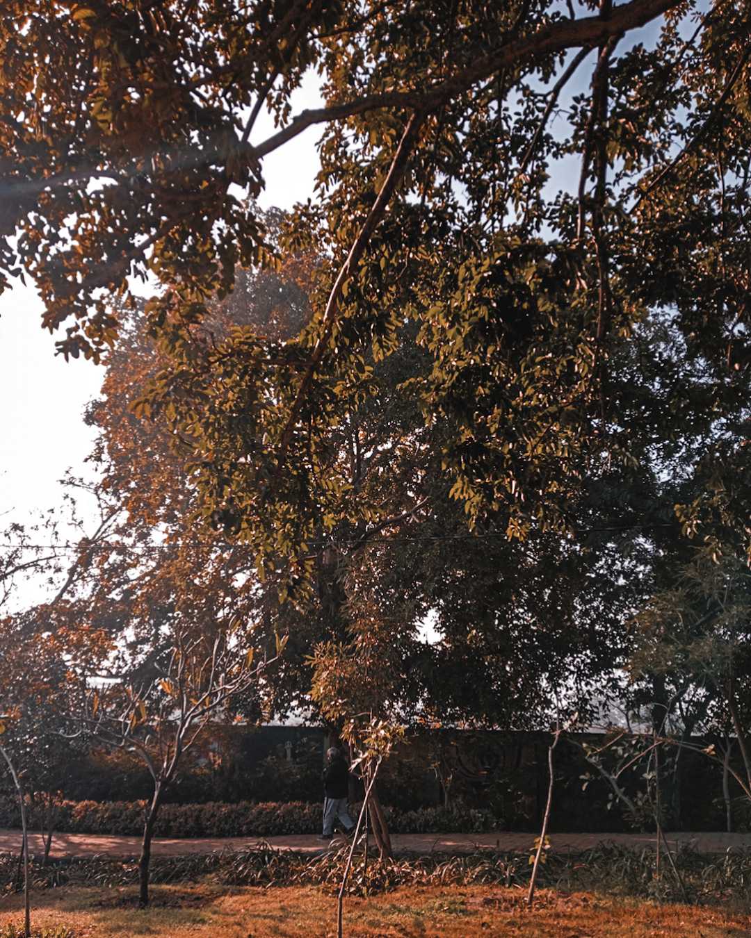 man moving in nature