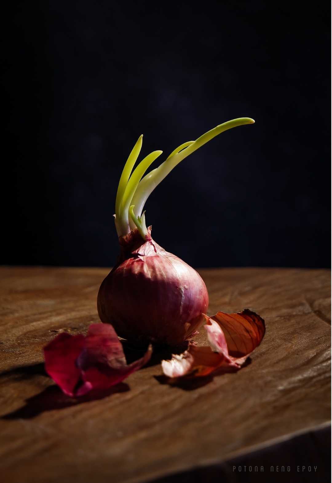 BAWANG MERAH 