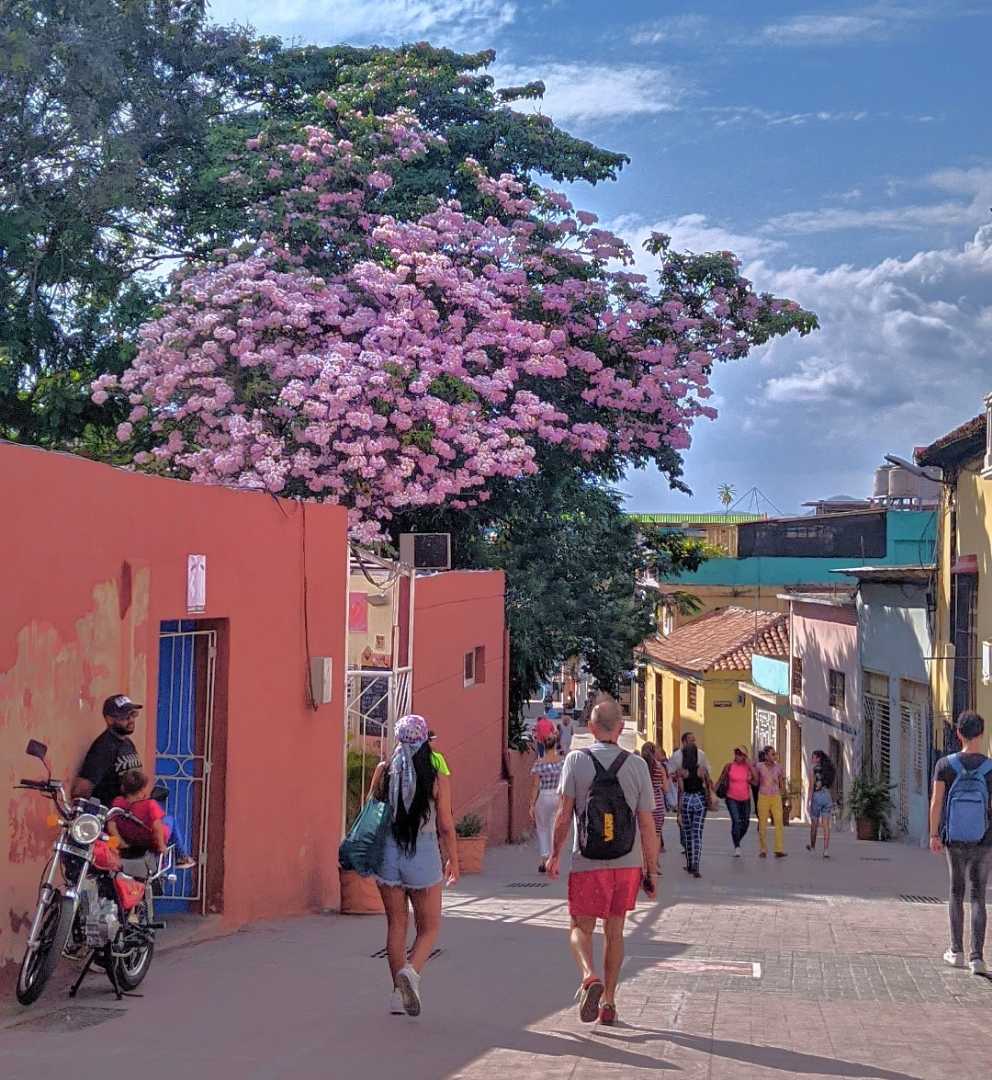 La primavera 🌸