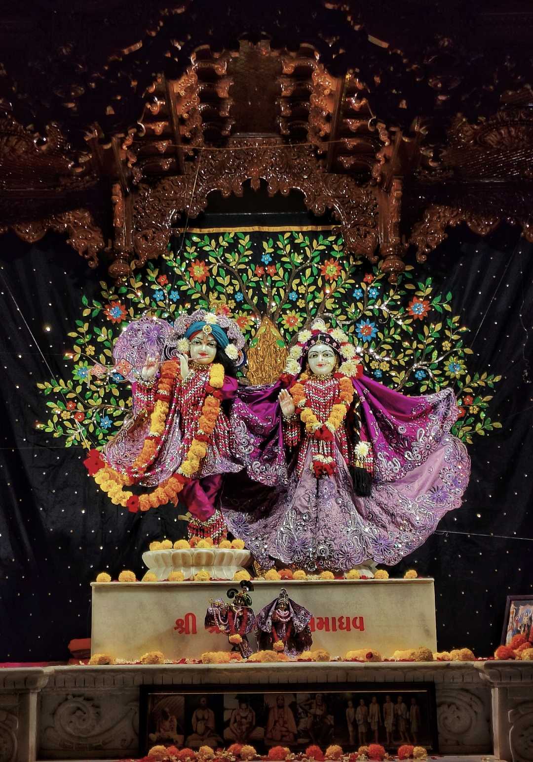 Shri Radha Rani ♥️
