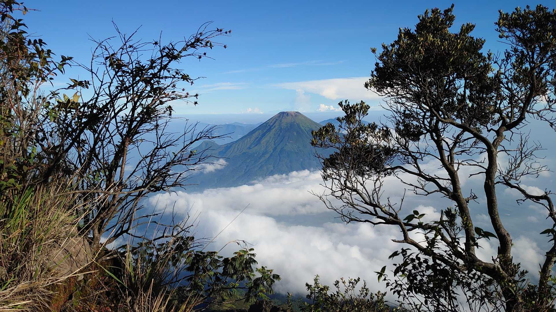 View Sindoro