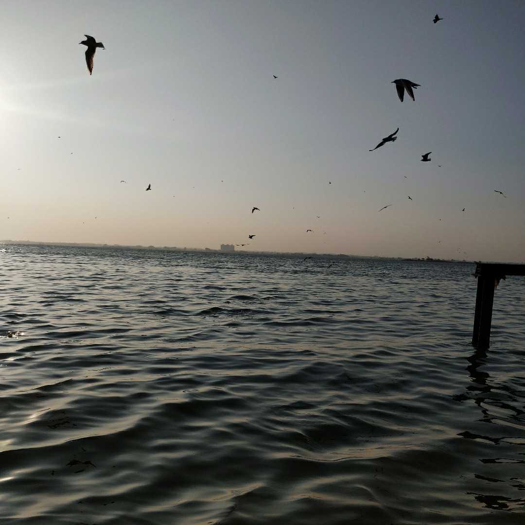 beautiful morning view 