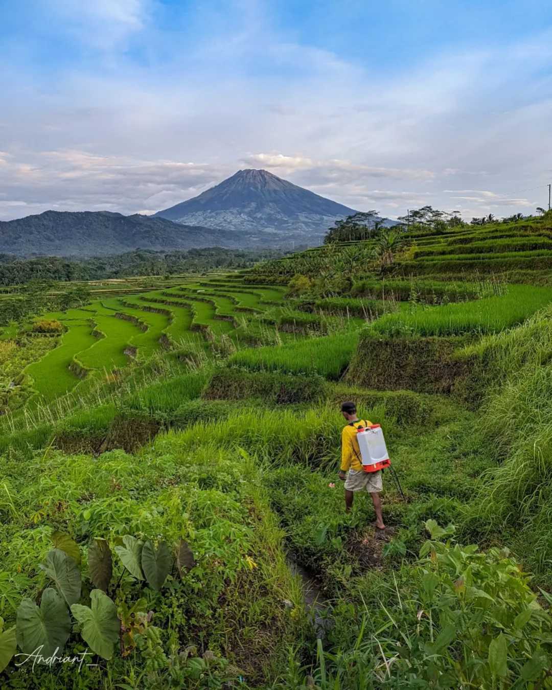 Wonderful Indonesia
