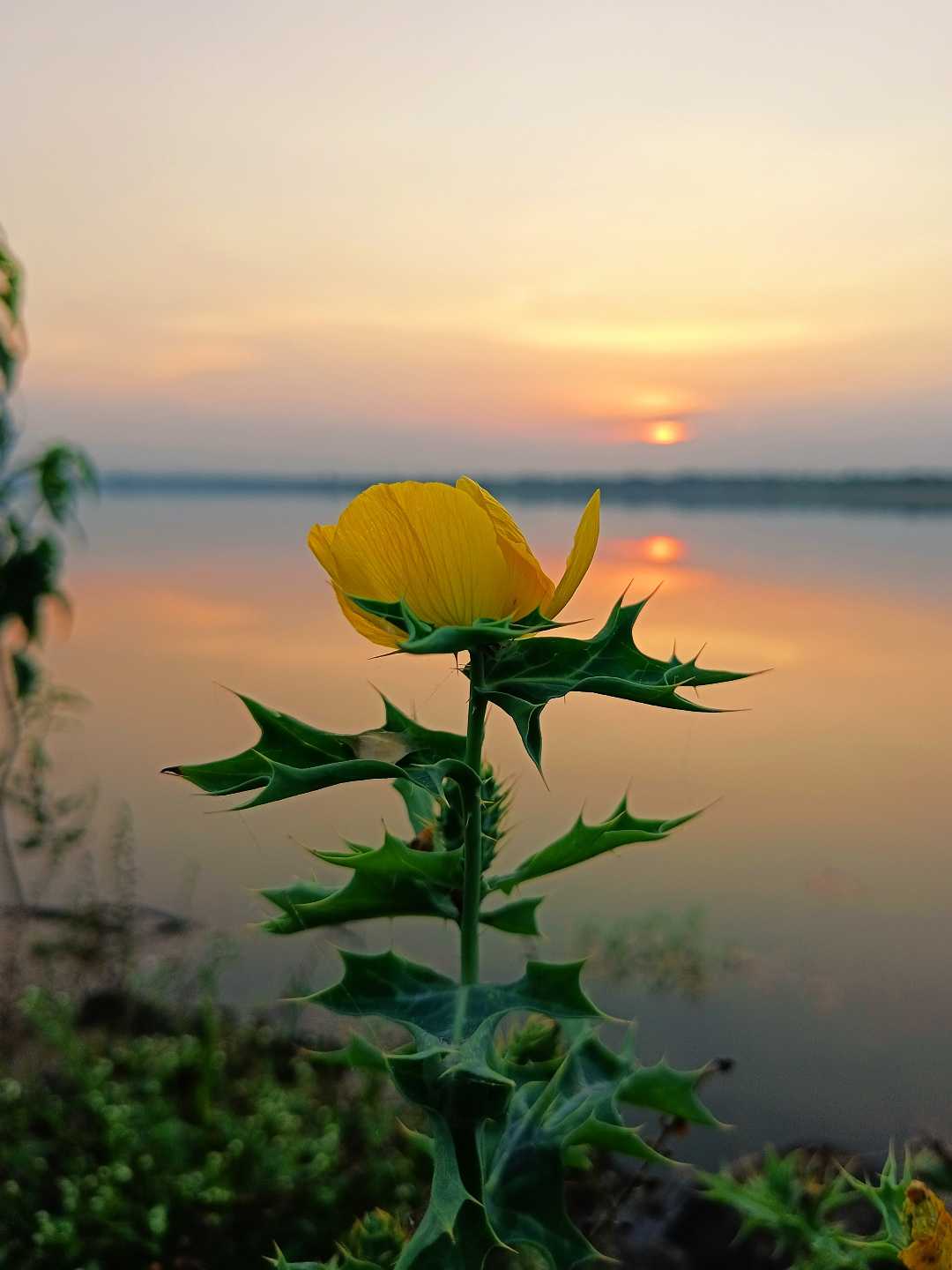 sunset time ❤️