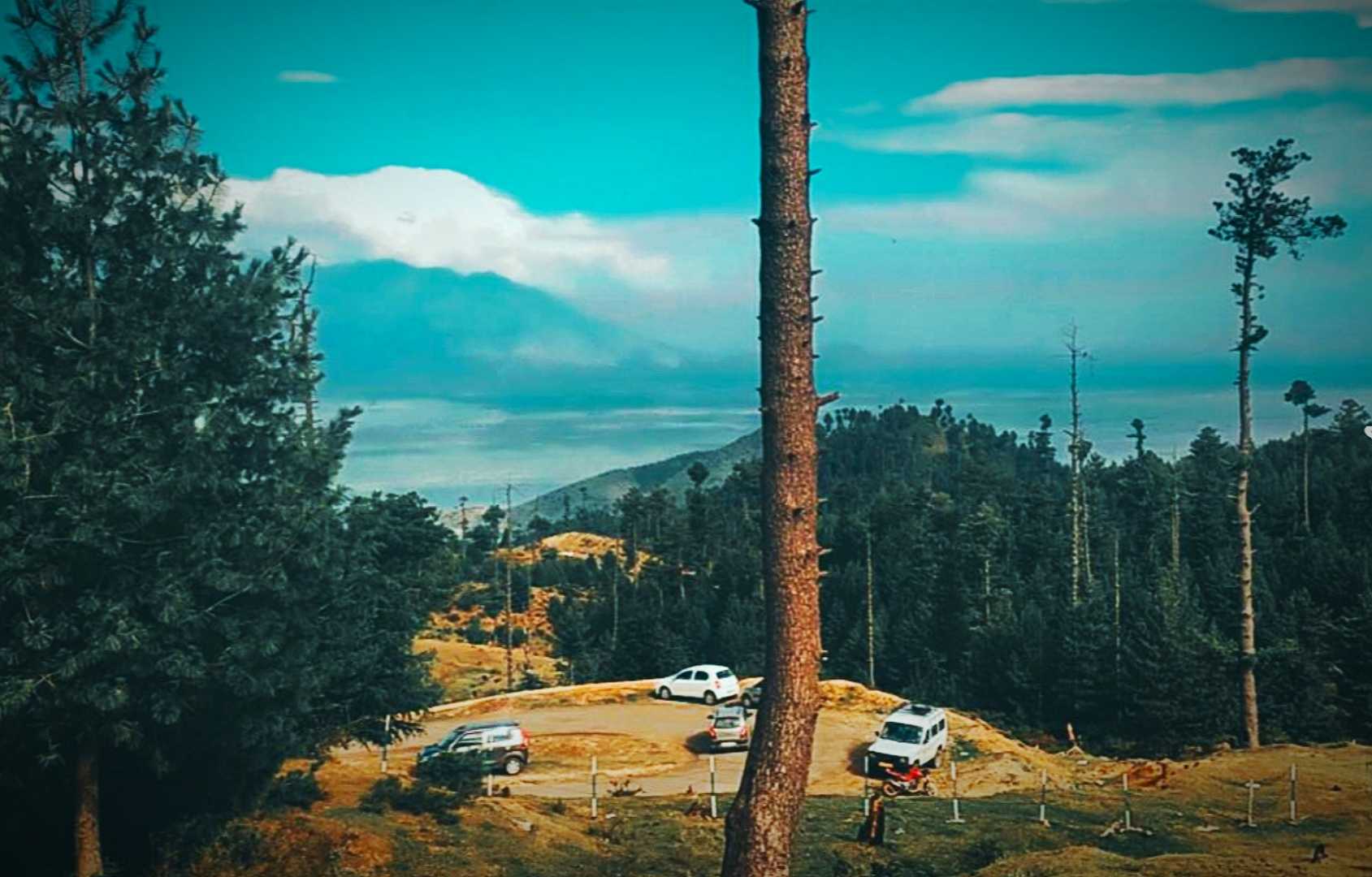 Nature 