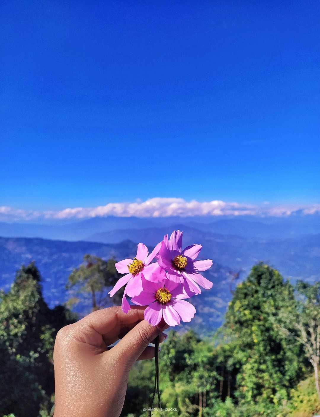 Flowers × Mountain ♡