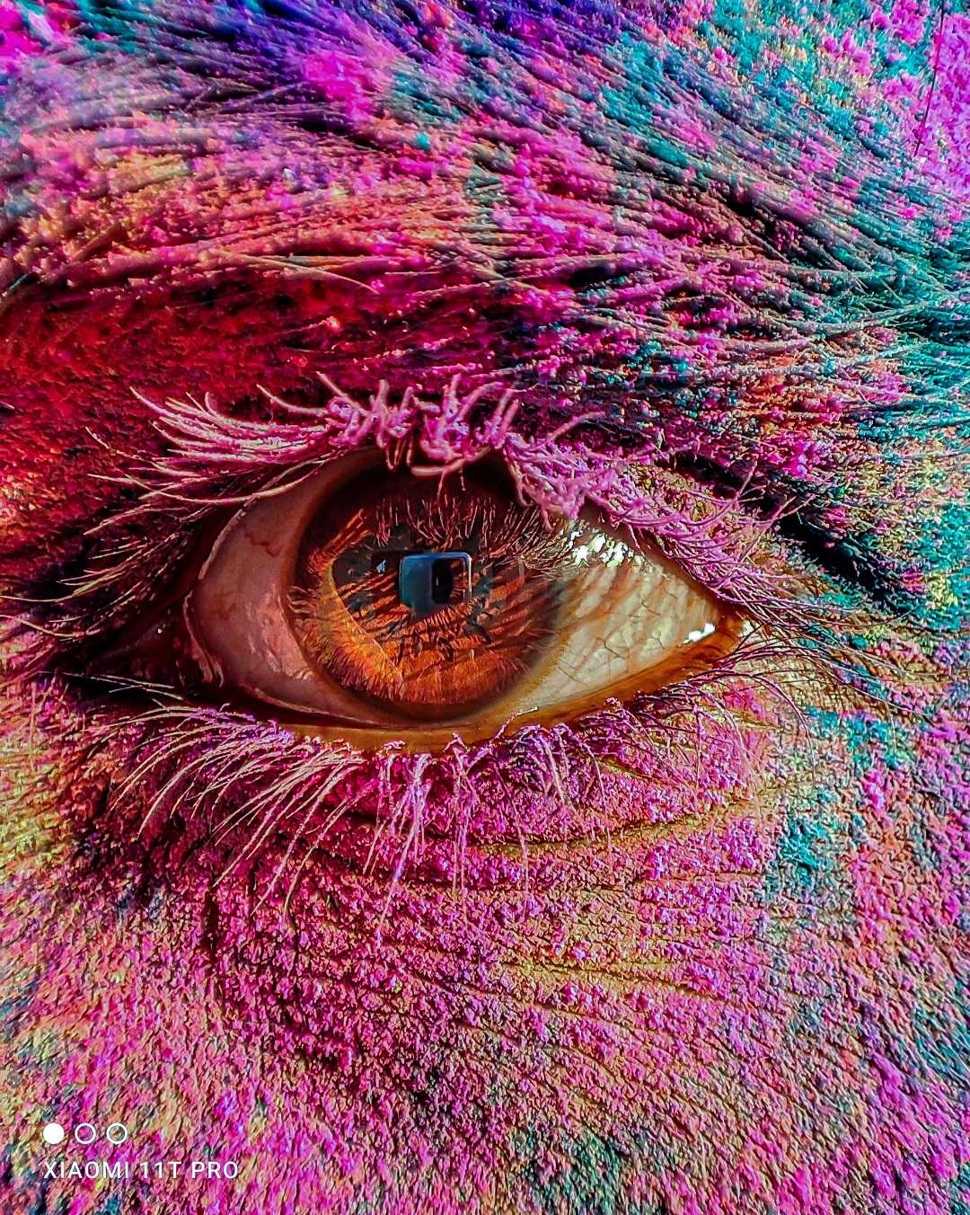 colourful eye 