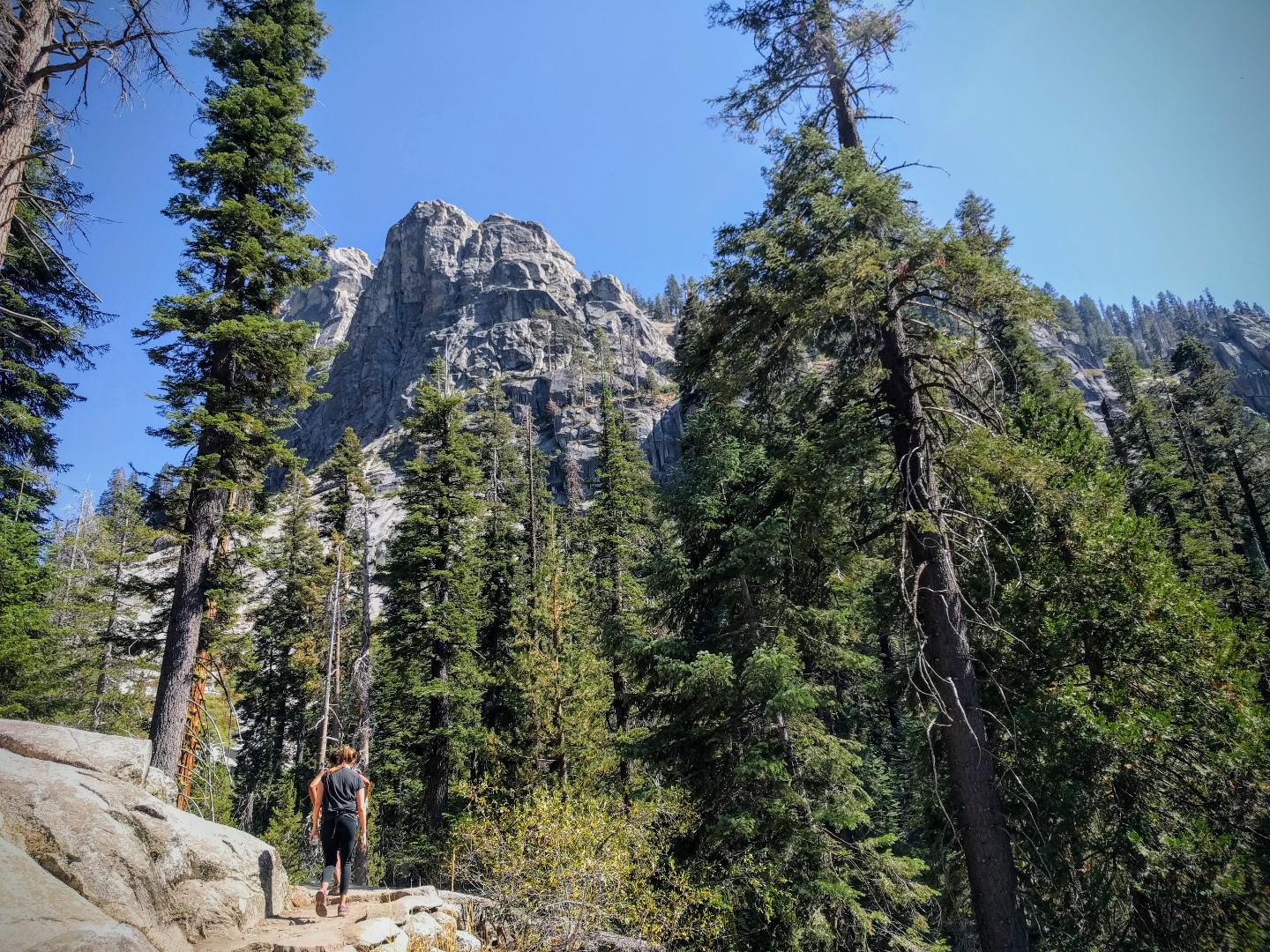 Hiking in the Sequoias