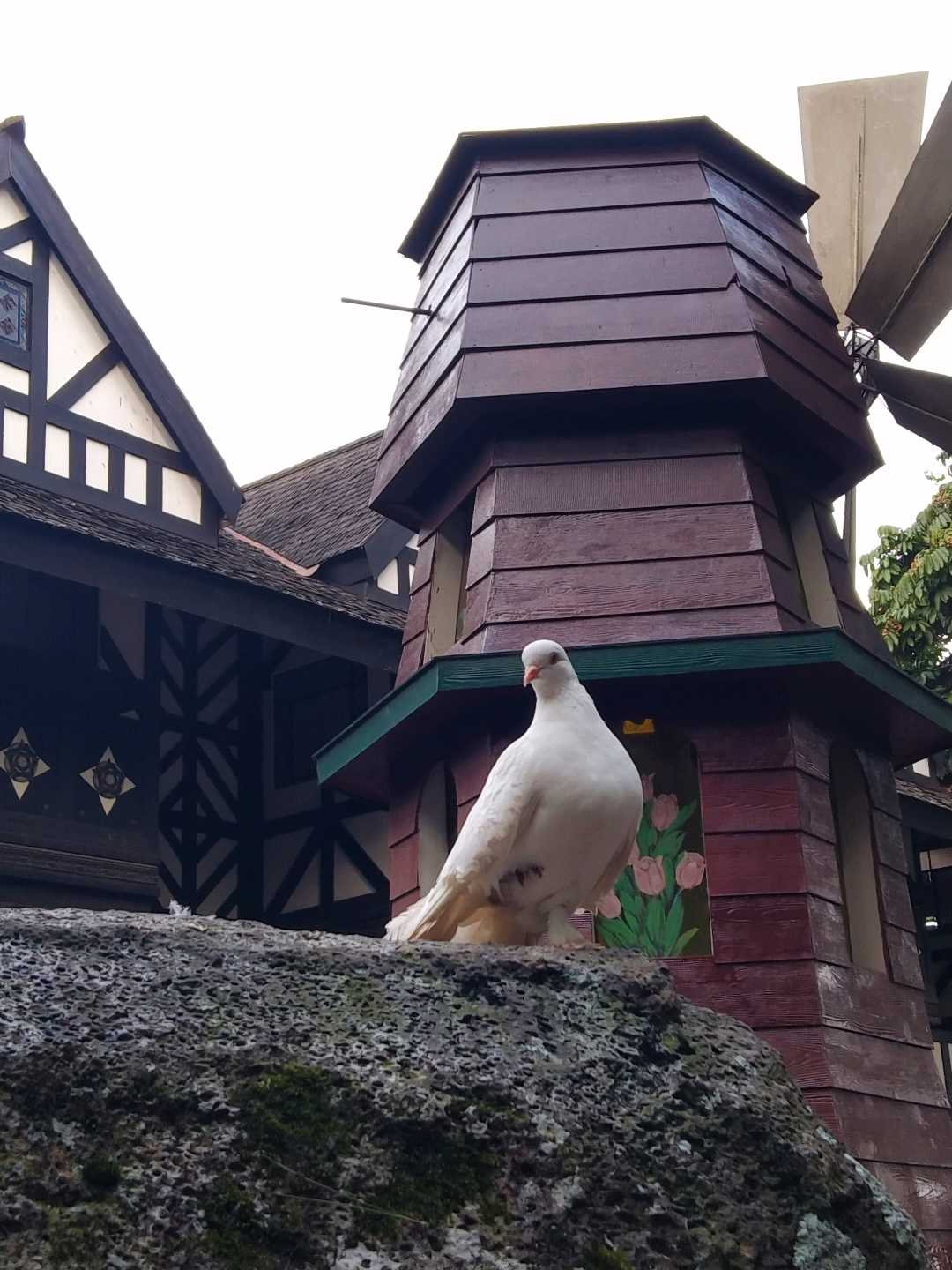 Farm House Lembang 