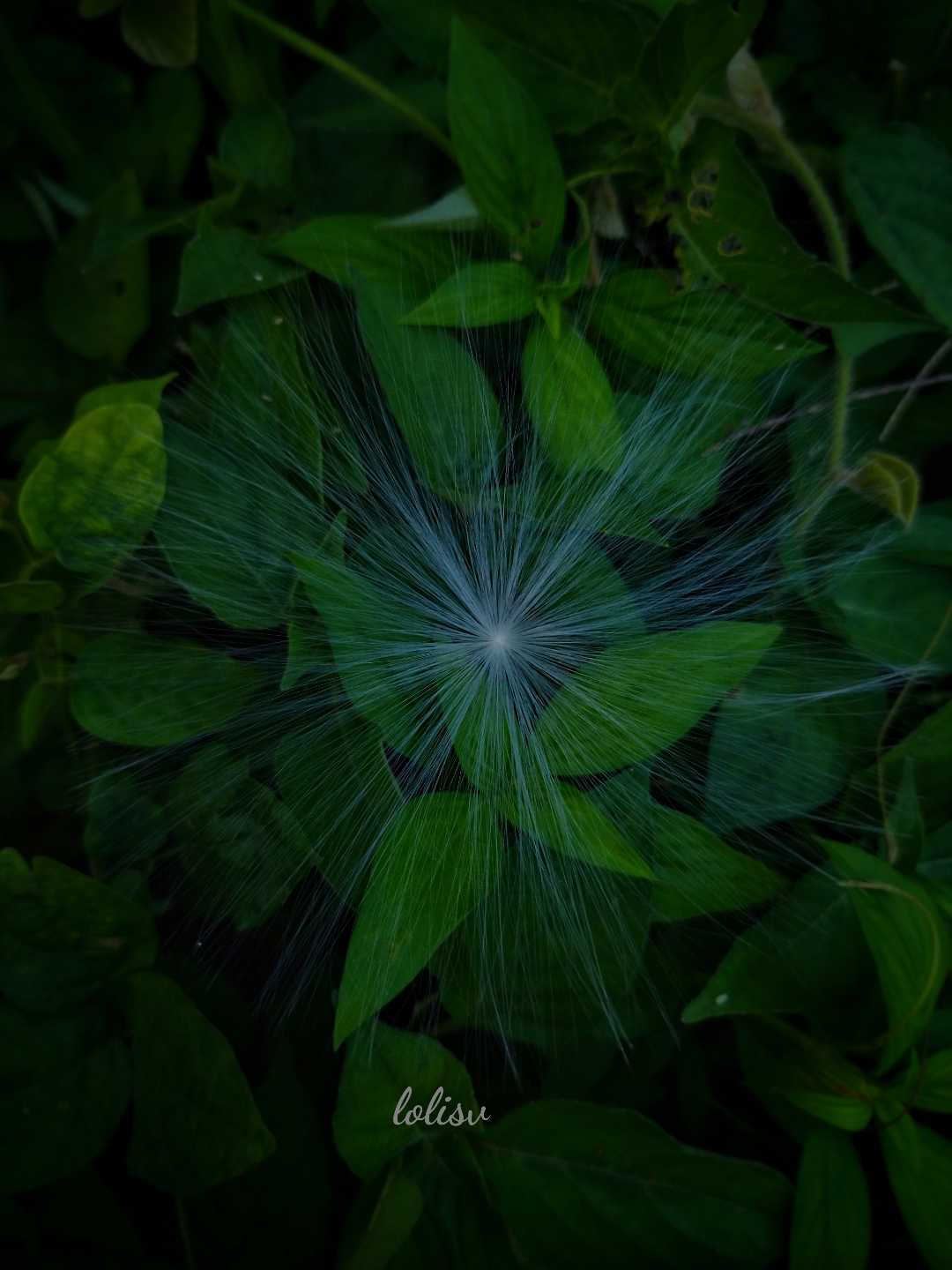 🌿