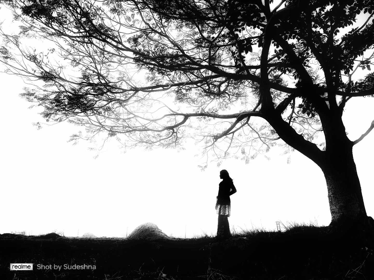 Silence and Solitude 🌻