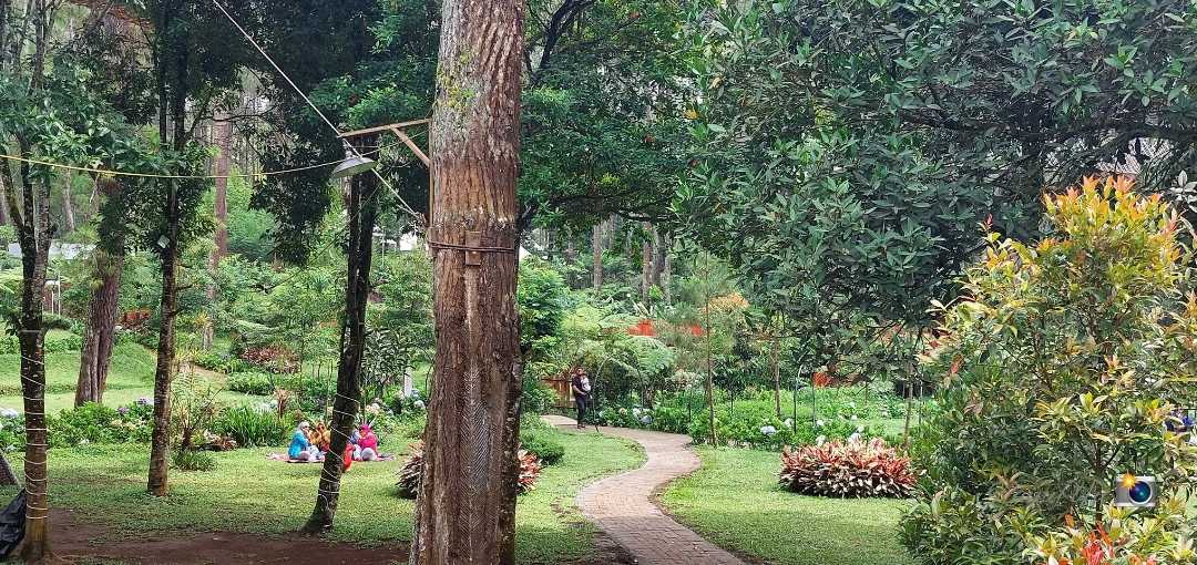 Orchid Forest Cikole