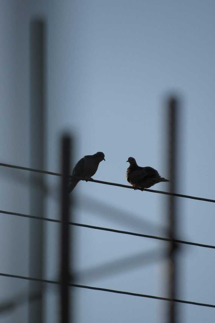 Encuentro