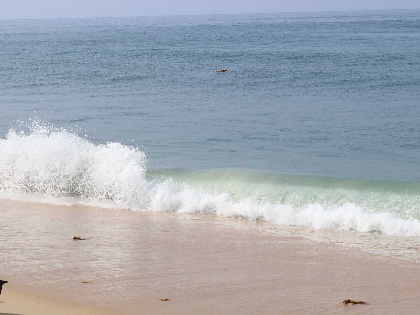 Beach 🏖️