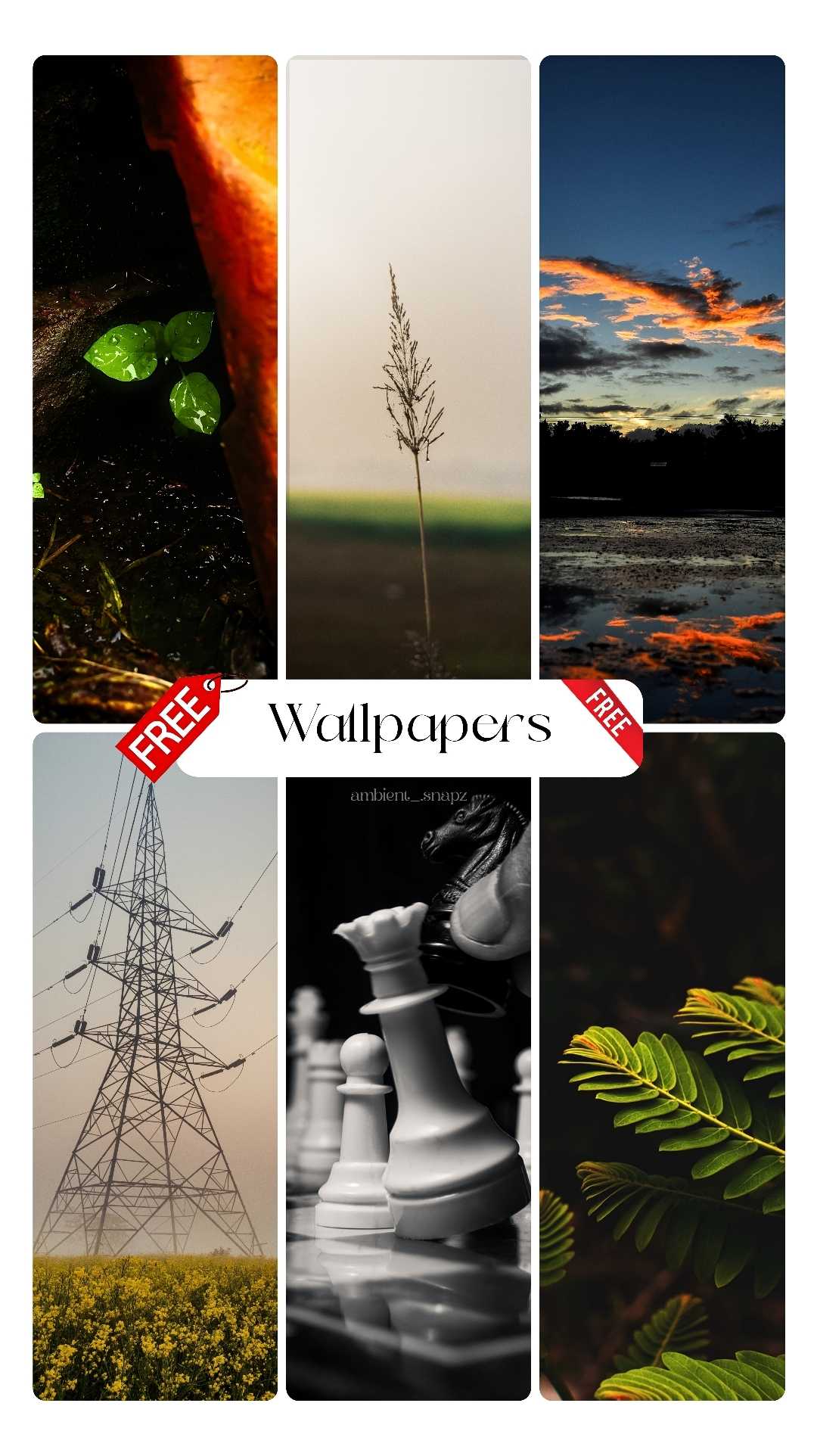 Free Wallpaper for you all - Link in the description 