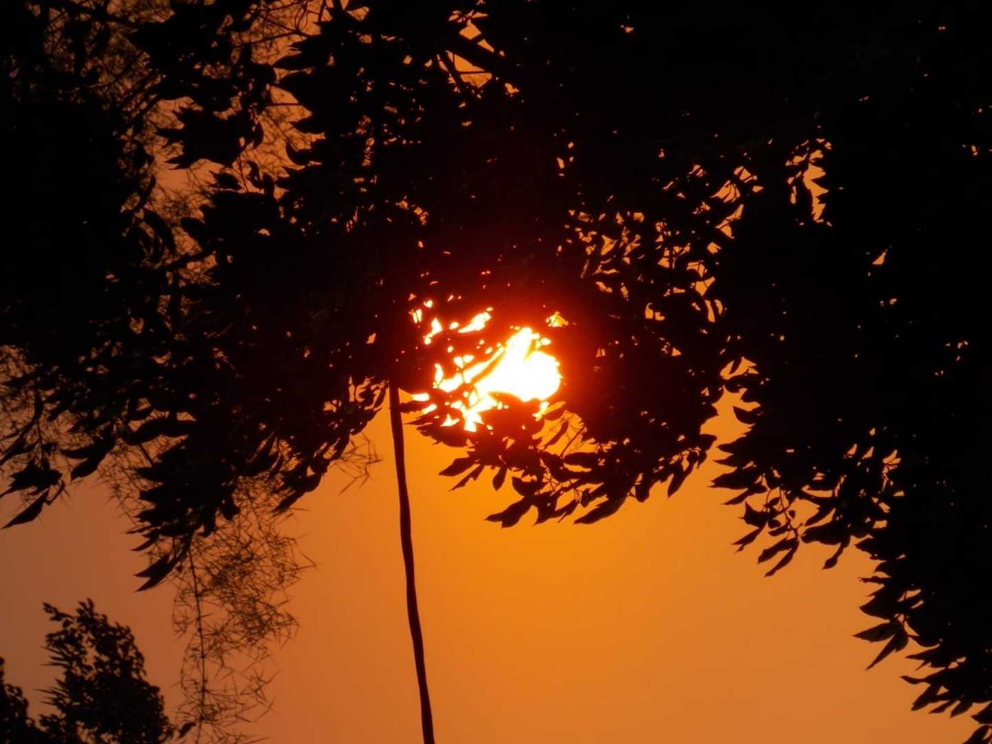 beautiful sunset ☀️