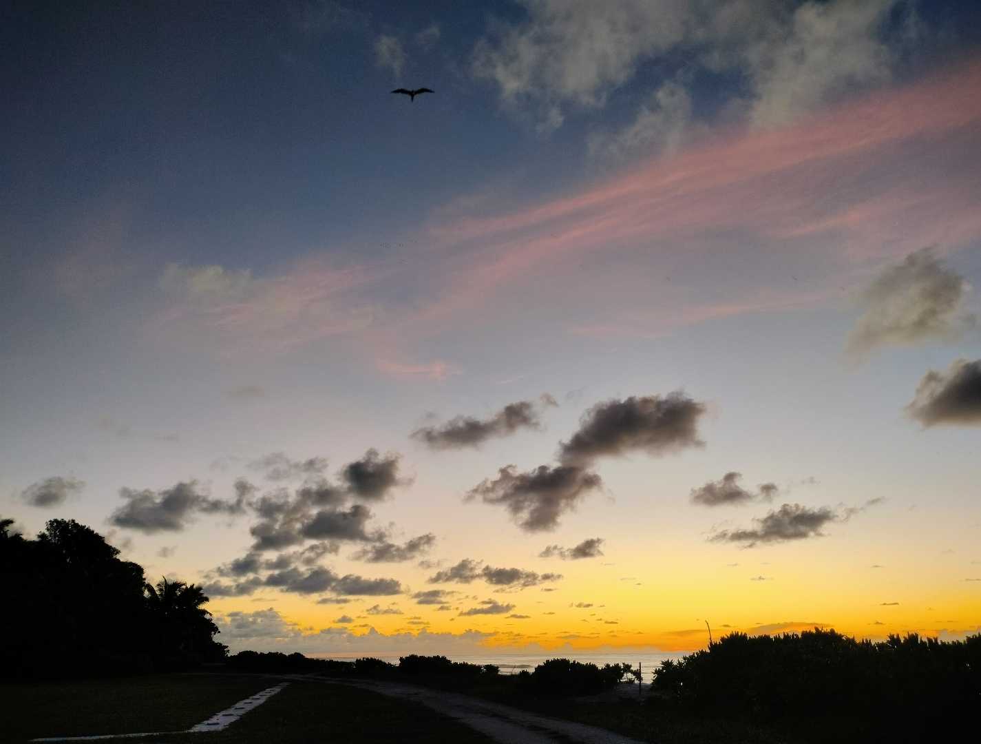 “There is something in the sky awaiting discovery.”