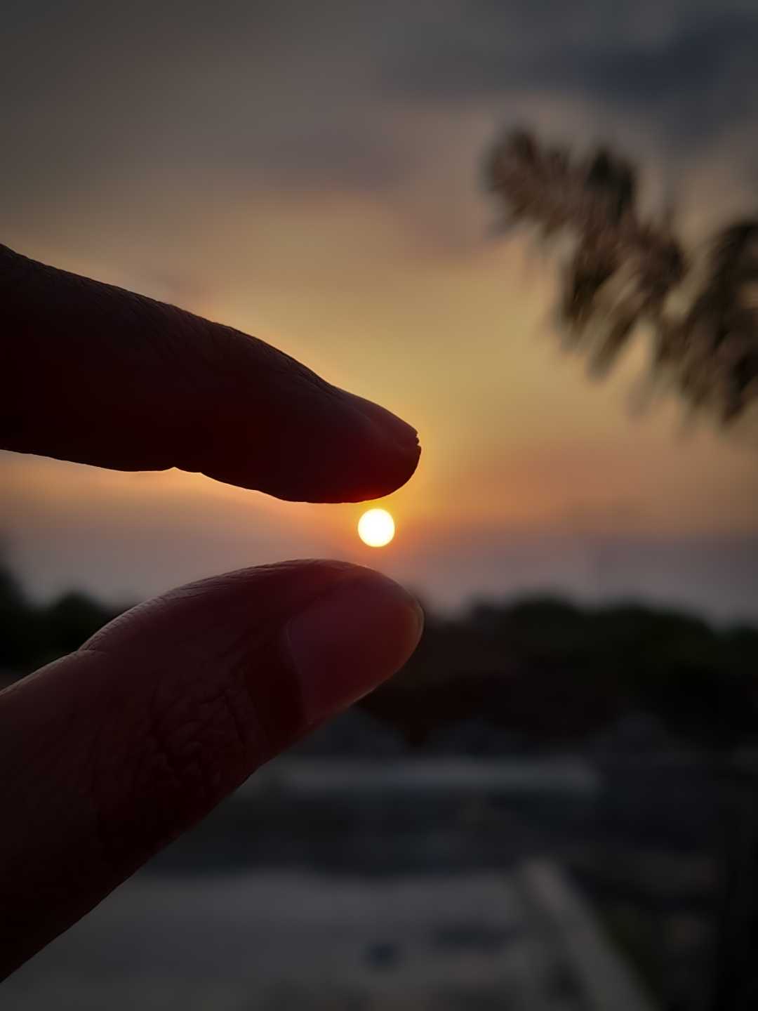 Hands in Frame