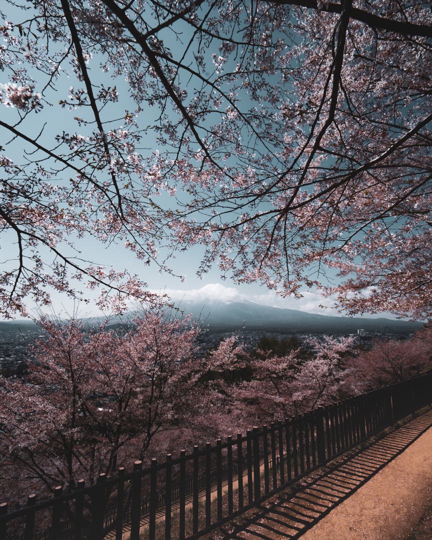 mt fuji inframe
