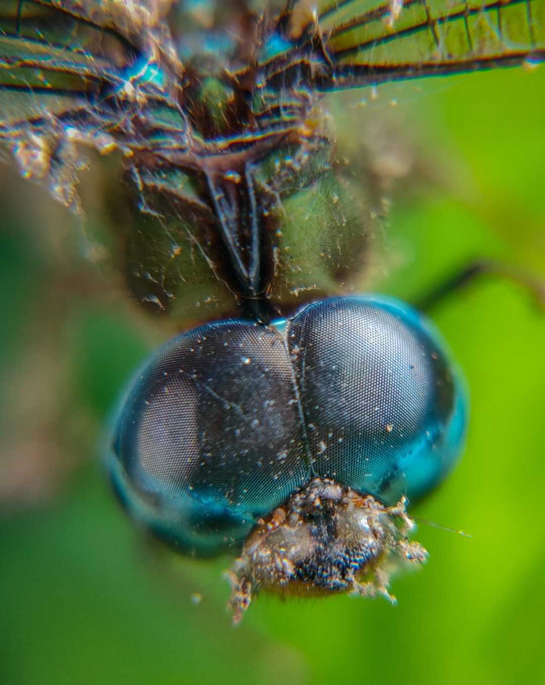 Eye's of Excellence 