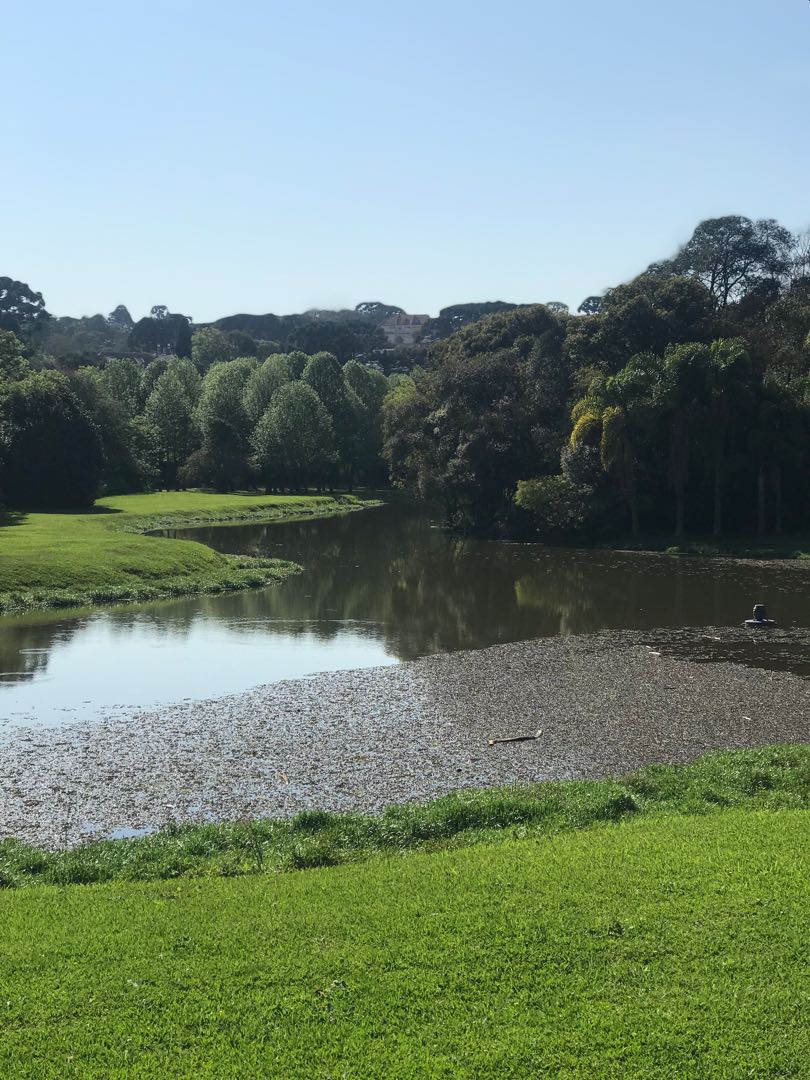 Curitiba 🇧🇷