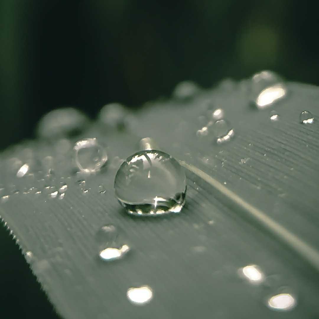 water drop....