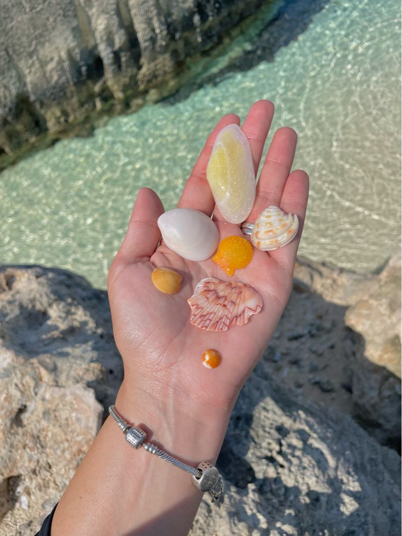 tesoros del mar