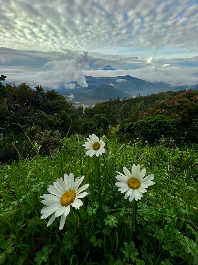 Mount Bromo