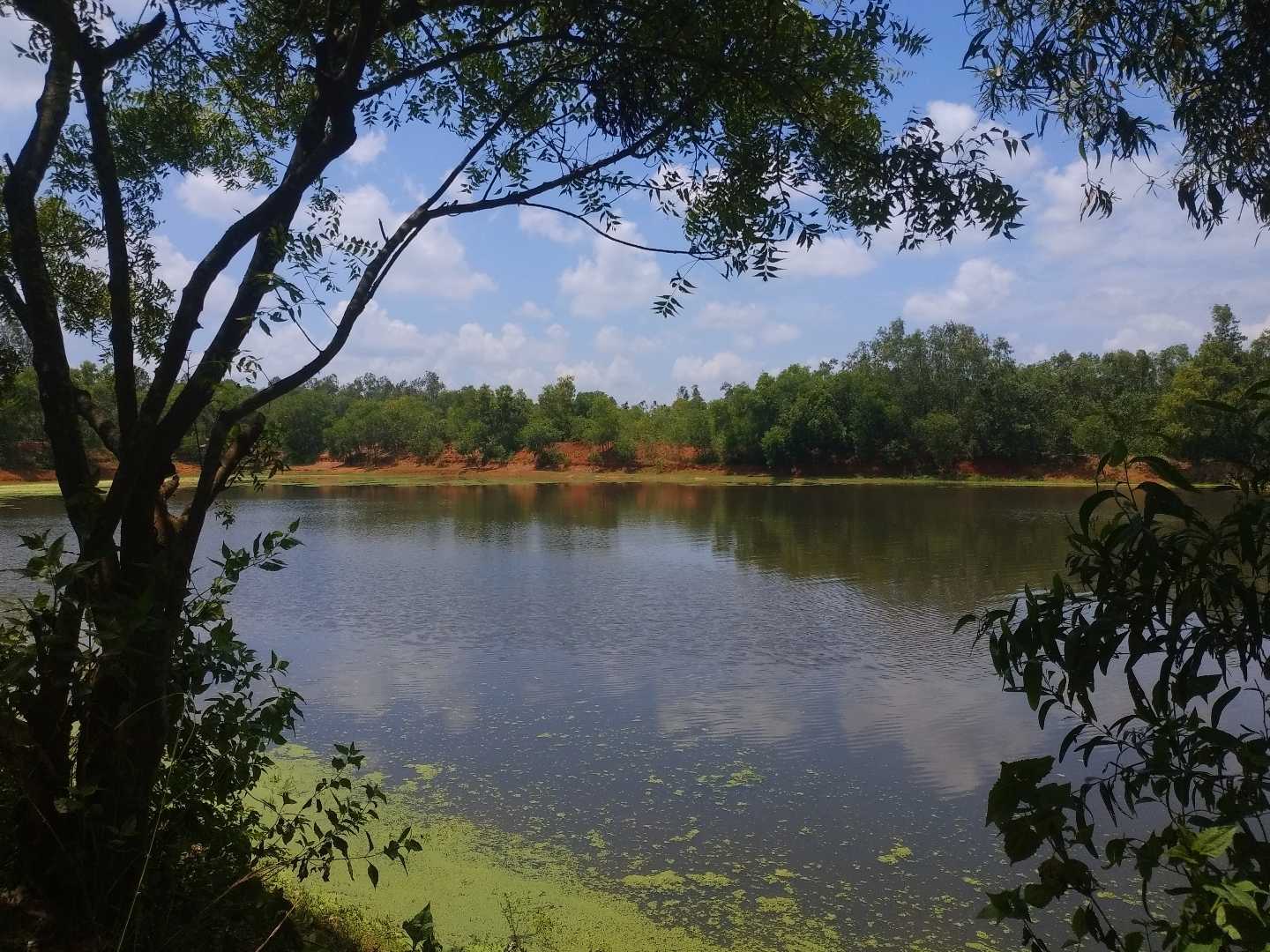 nature beauty 😍