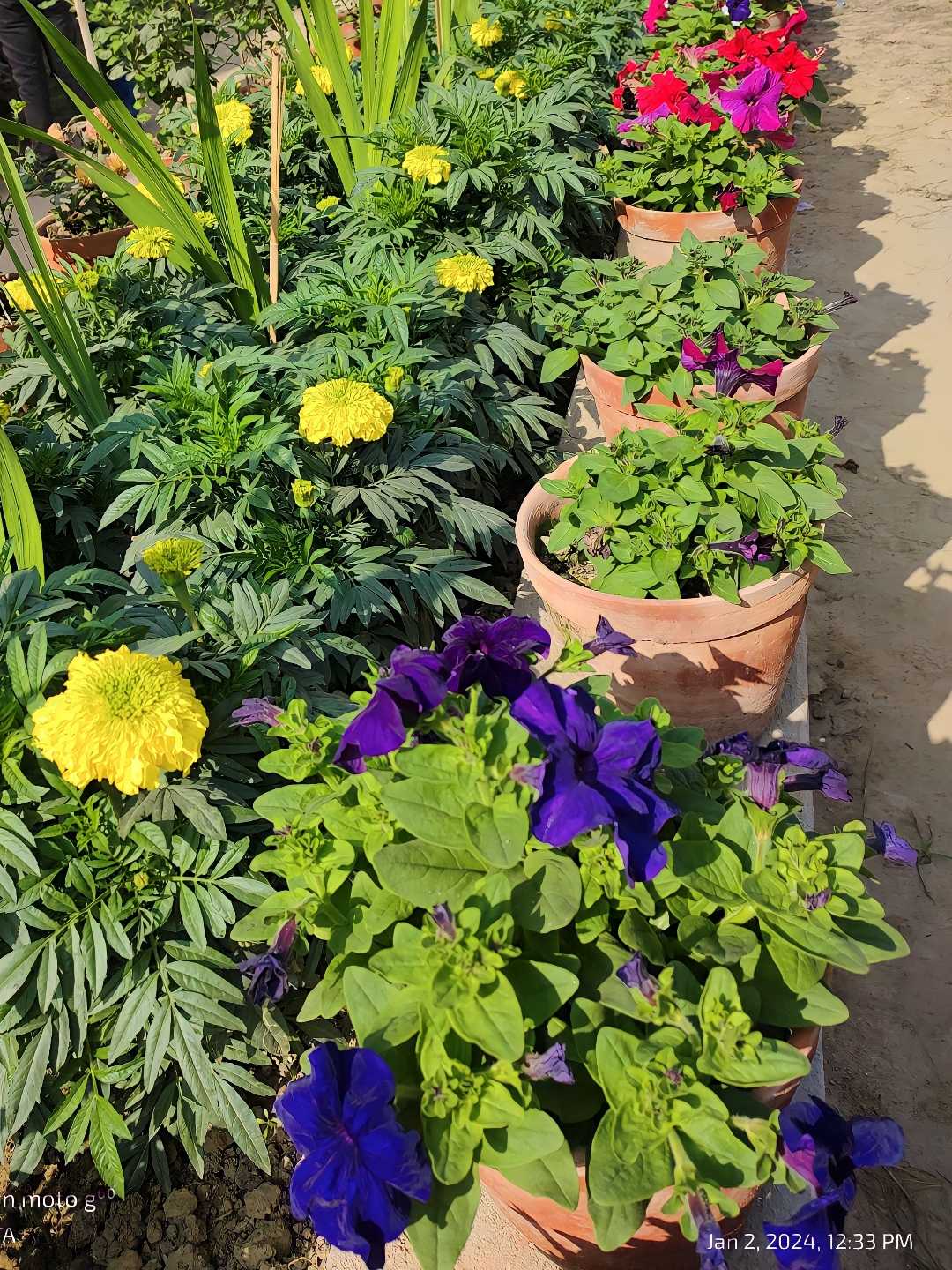 💐