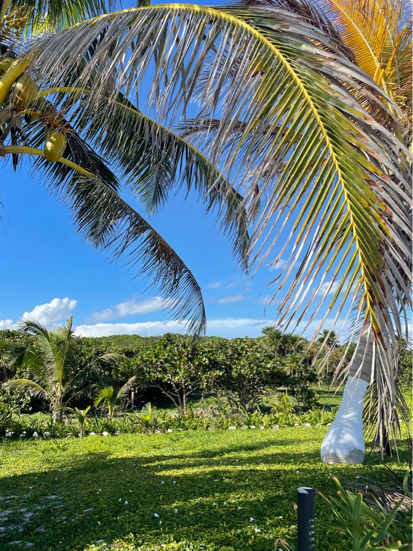 Tulum 🇲🇽
