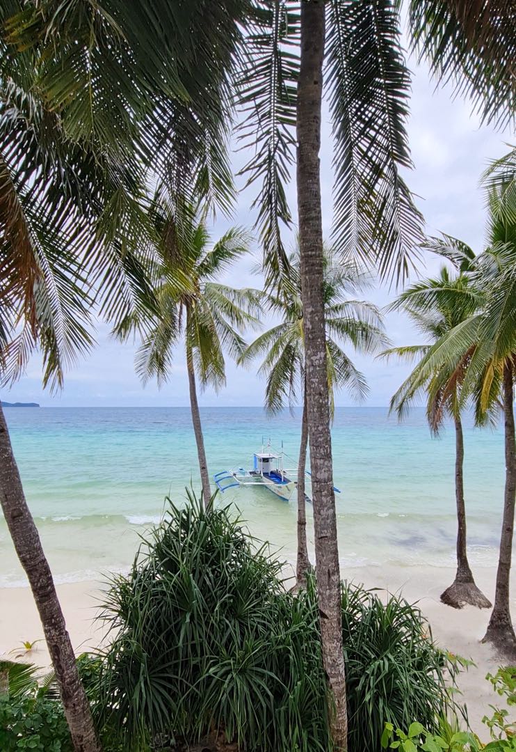 Palm Trees and Ocean Breeze