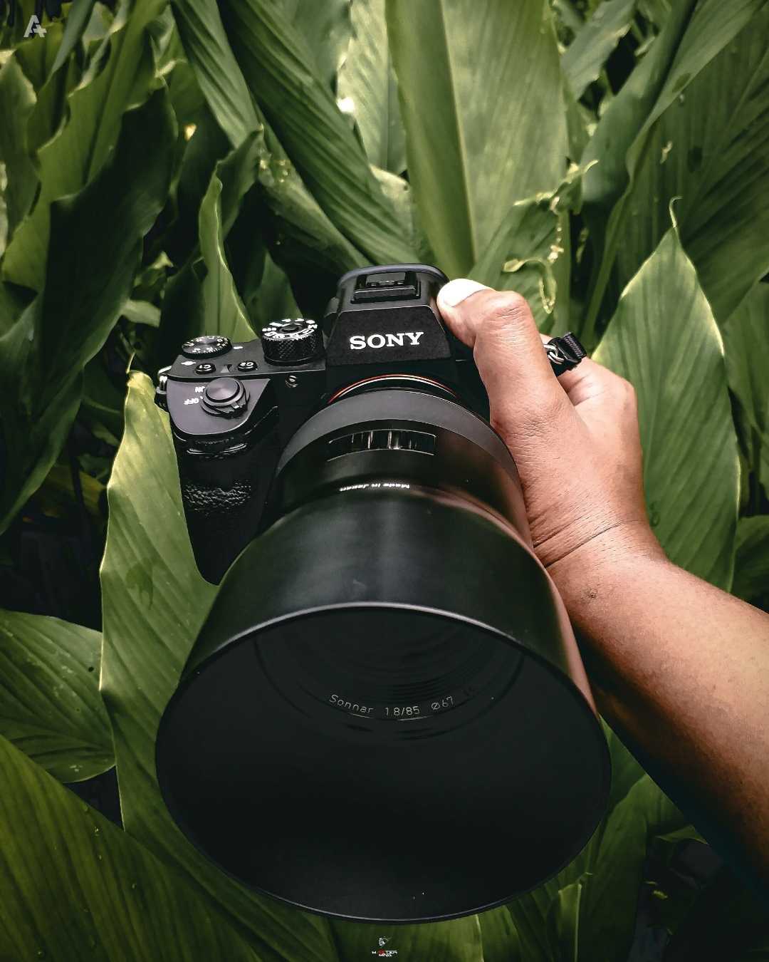 Photography ❤️ 📷