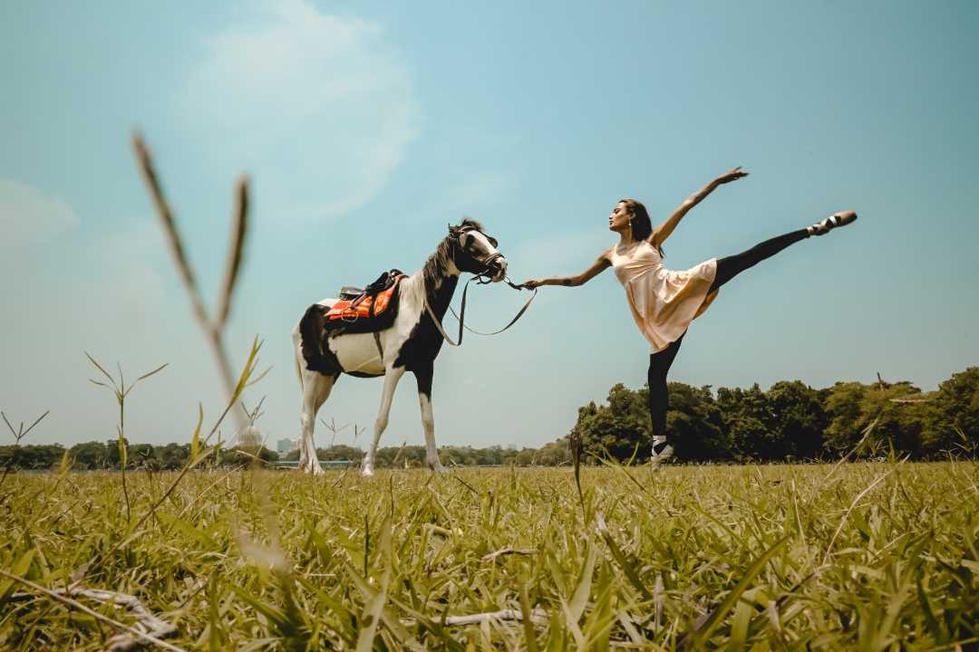 Ballet Dance & Horse