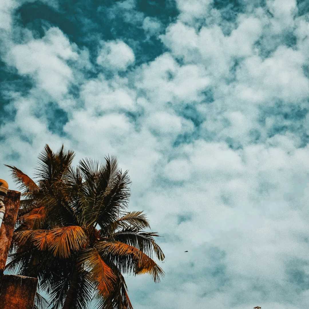 Sky With Clouds