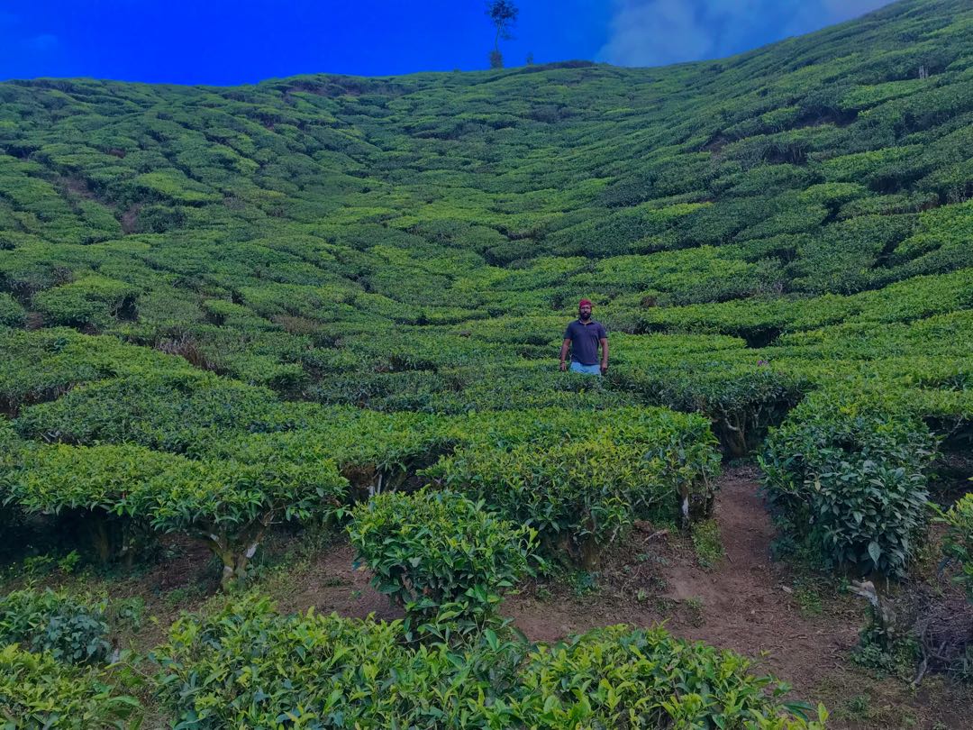 Munnar
