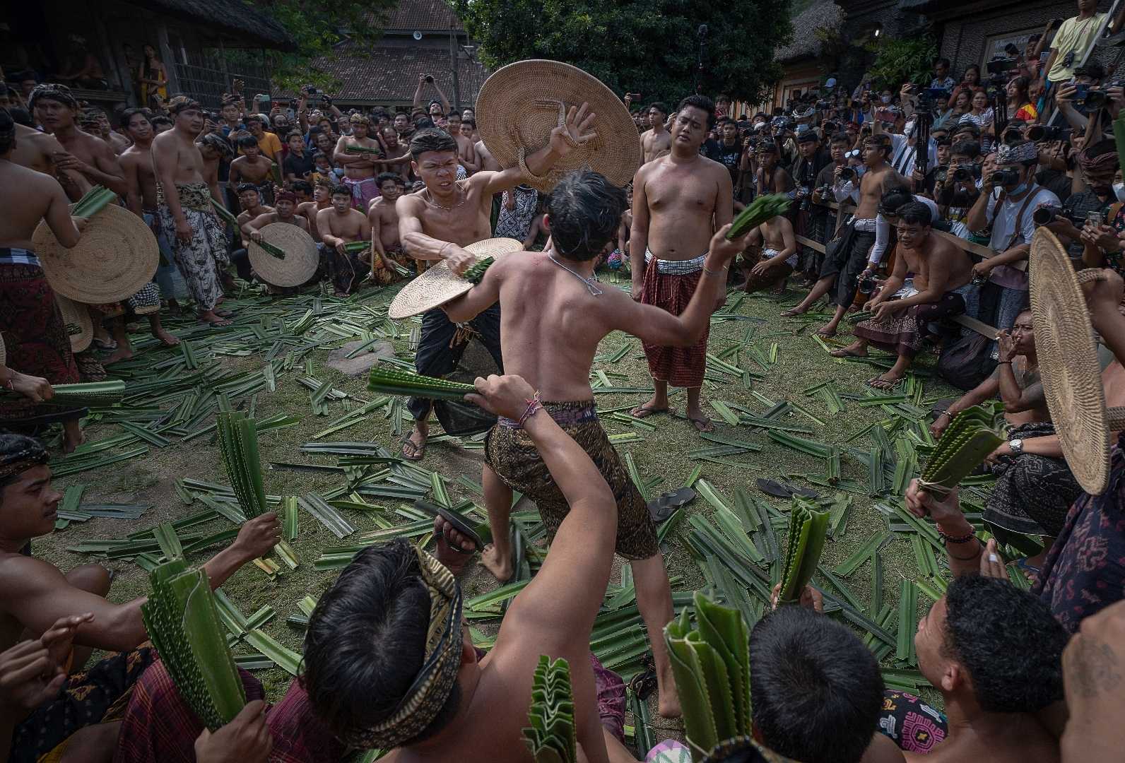 Perang Pandan Tenganan Pegringsingan 
