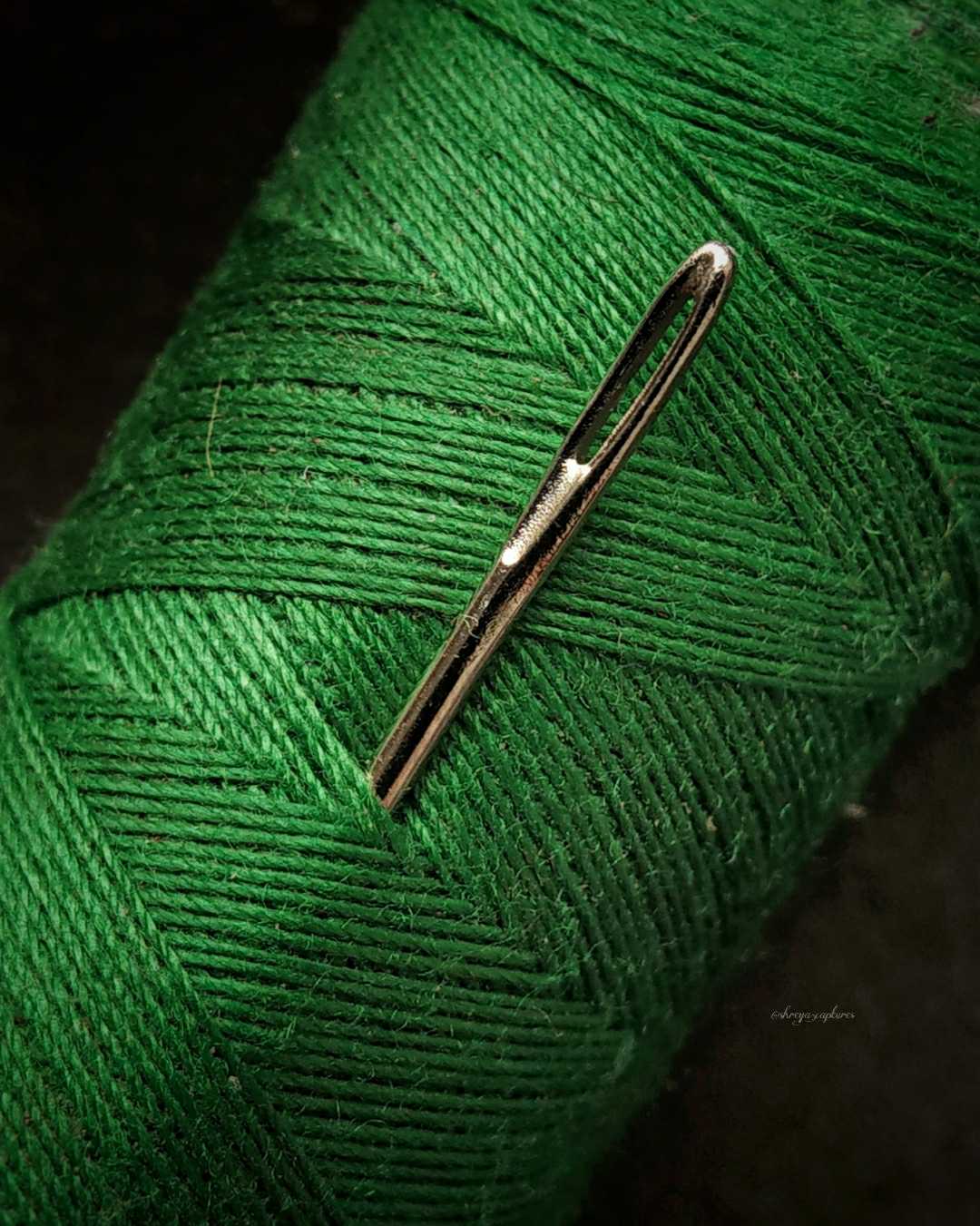 Needle