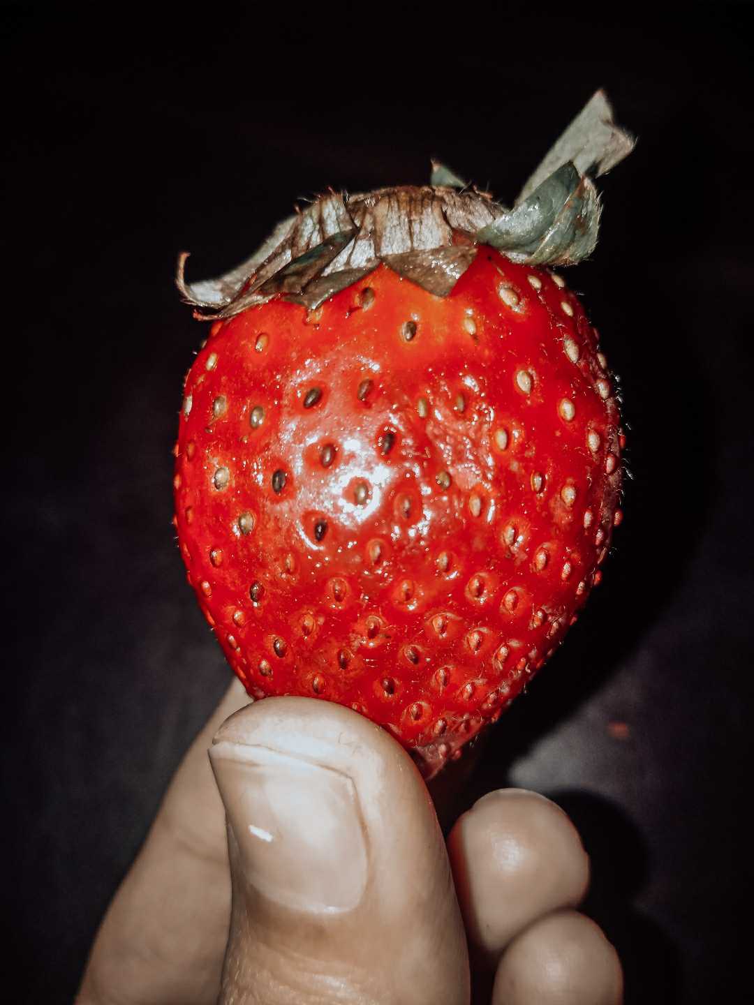 strawberry 🍓