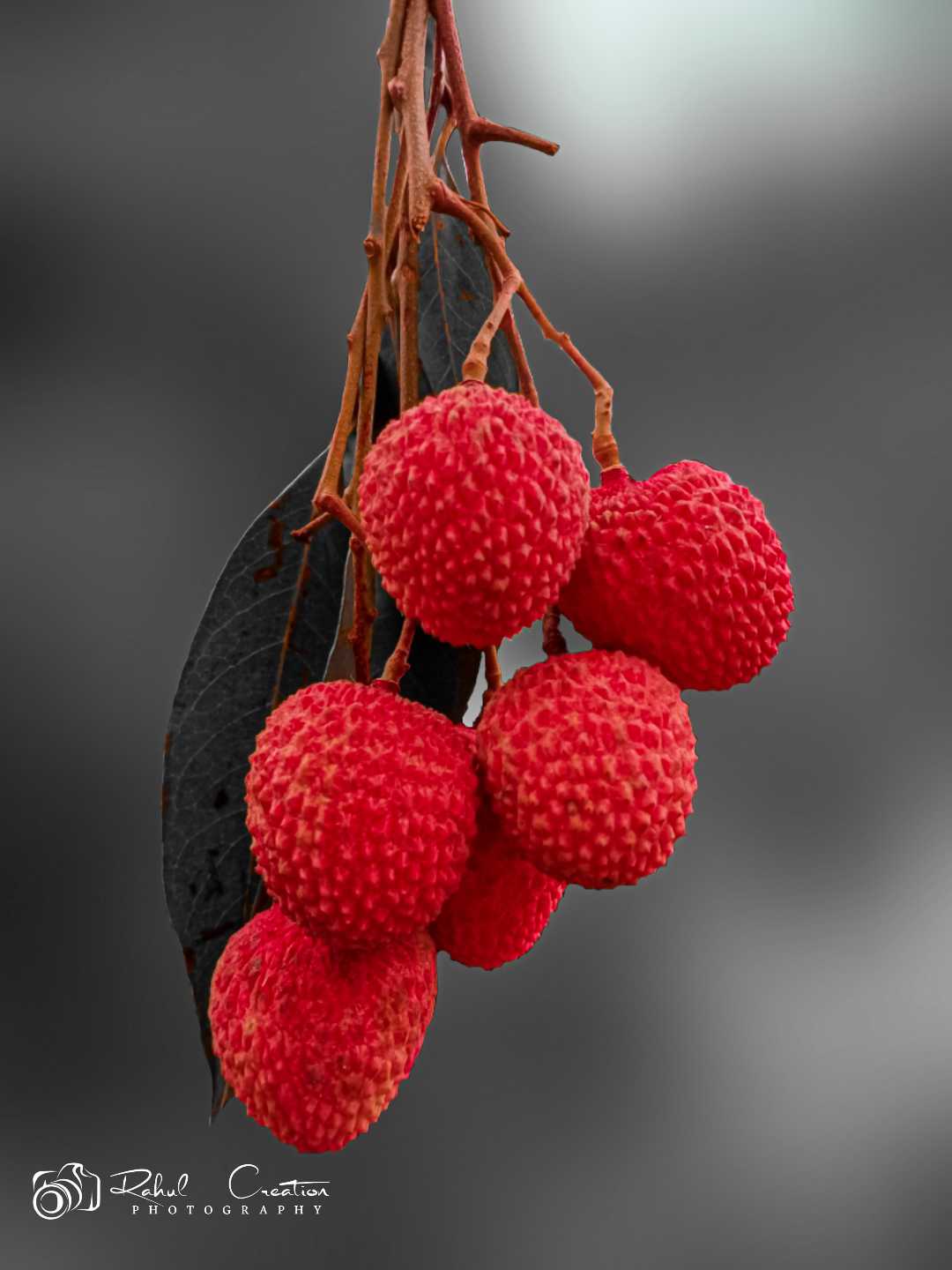 lychee