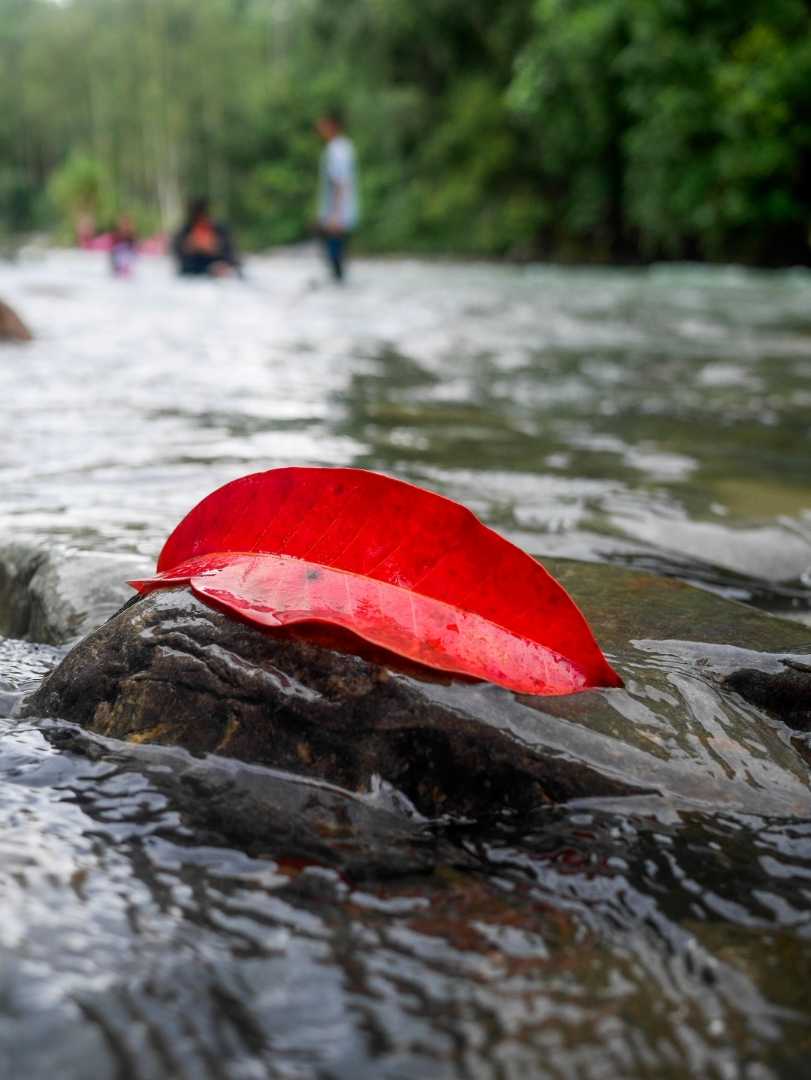 kedamaian River