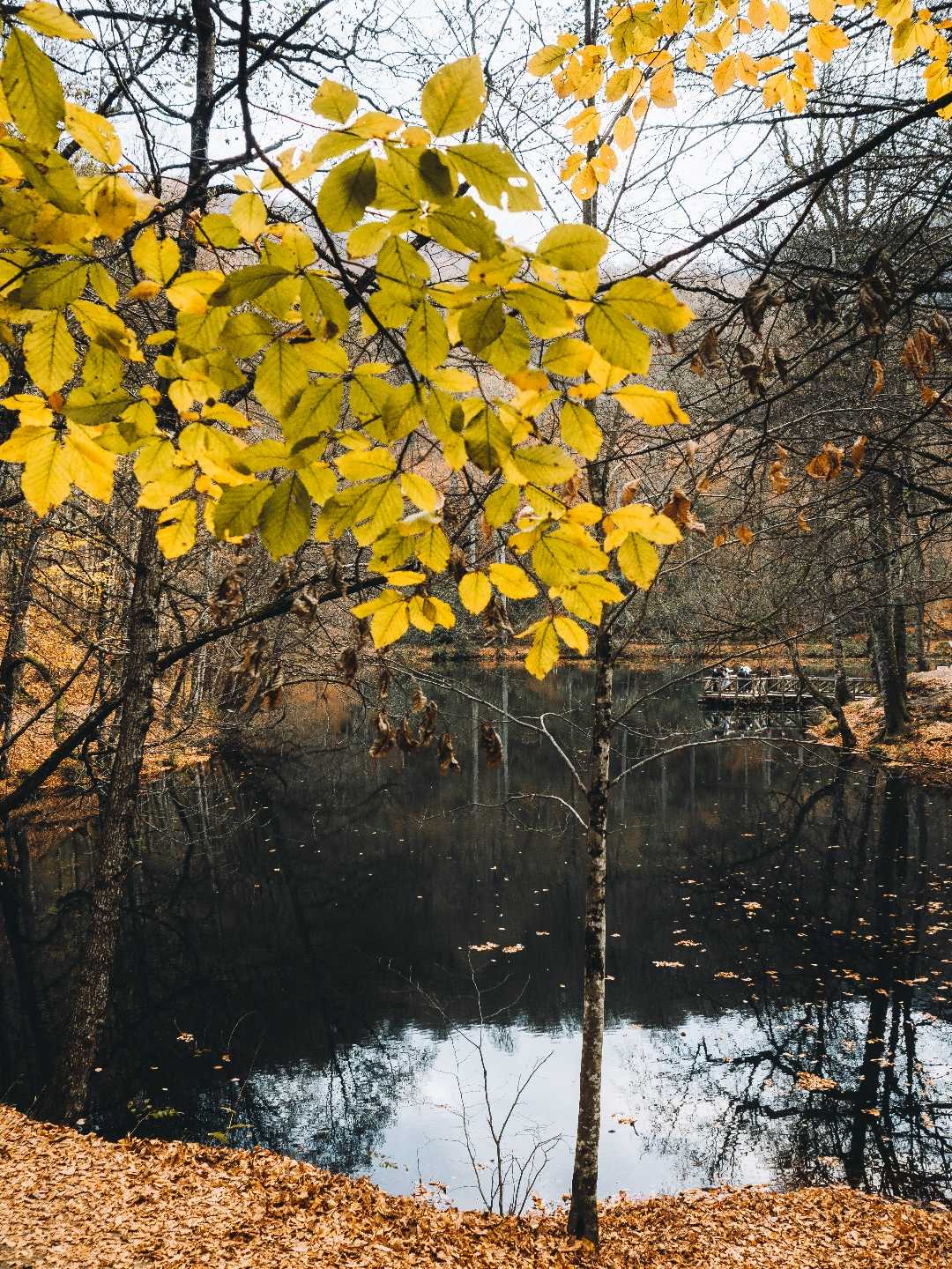 yedigöller, Bolu 