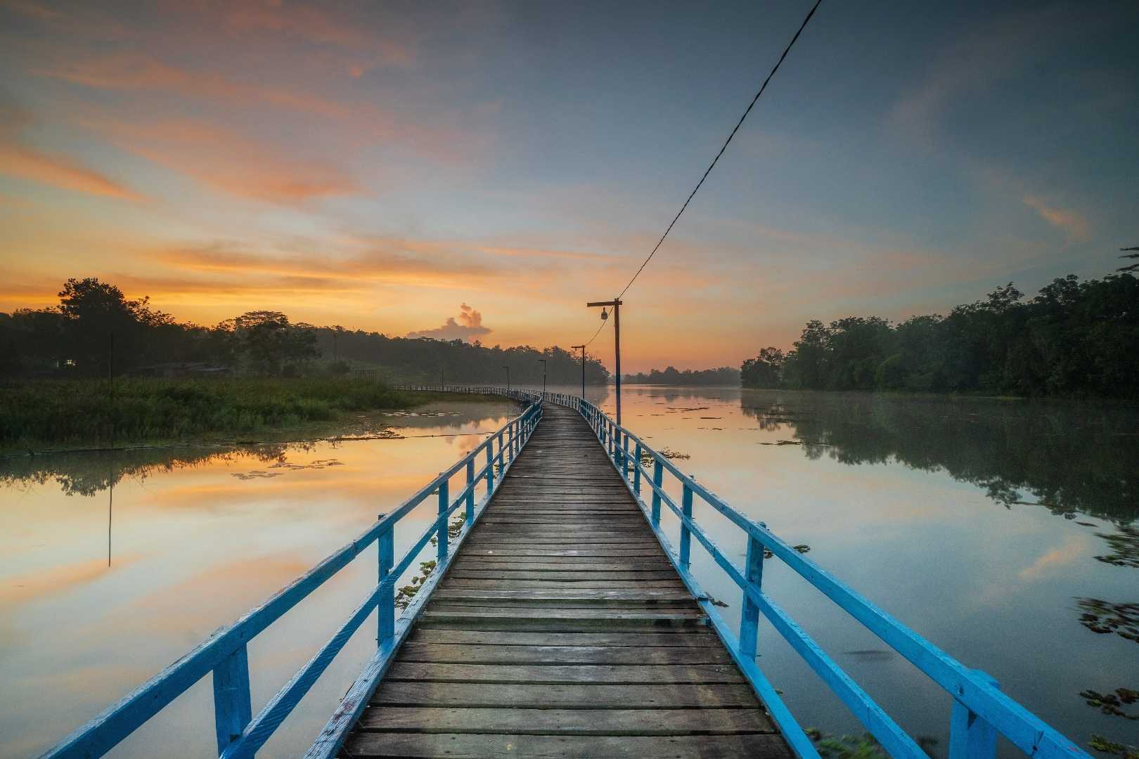 The bridge