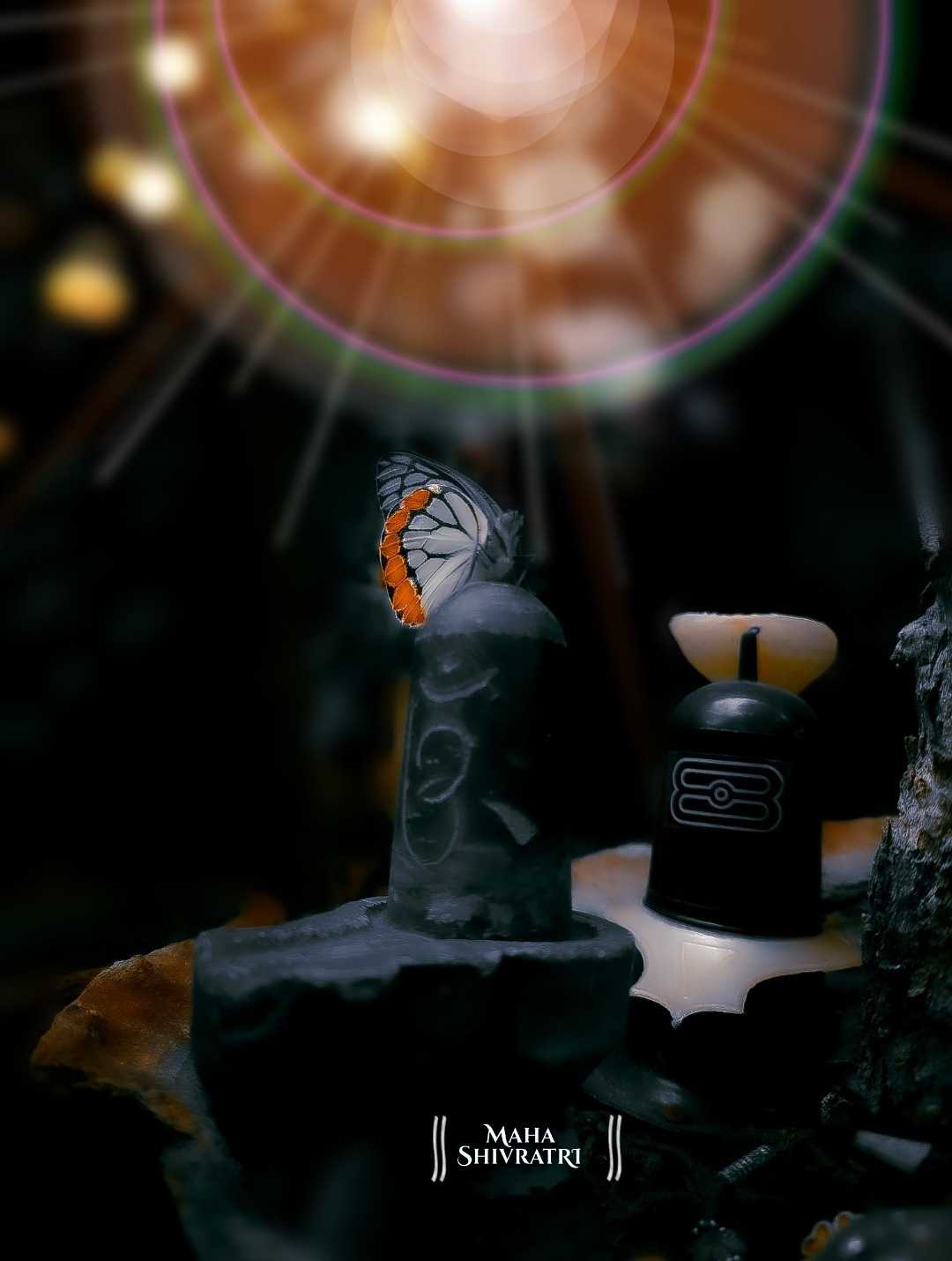 महा शिवरात्रि की हार्दिक शुभकामनाएं ... हर हर महादेव🔱
