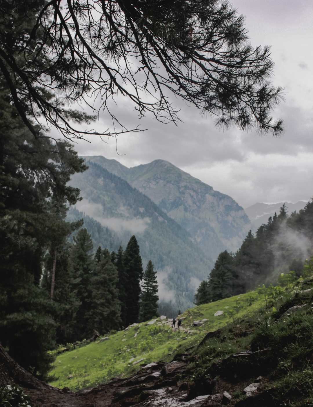 way to tarsar