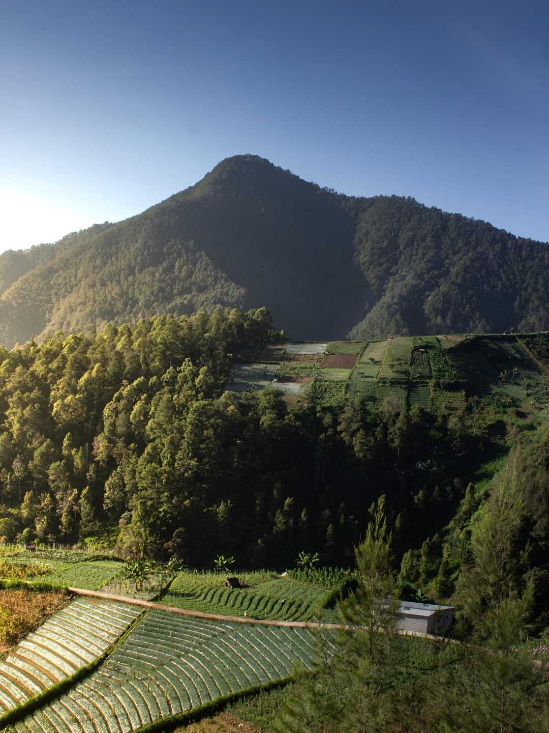 Wisata Wonomulyo