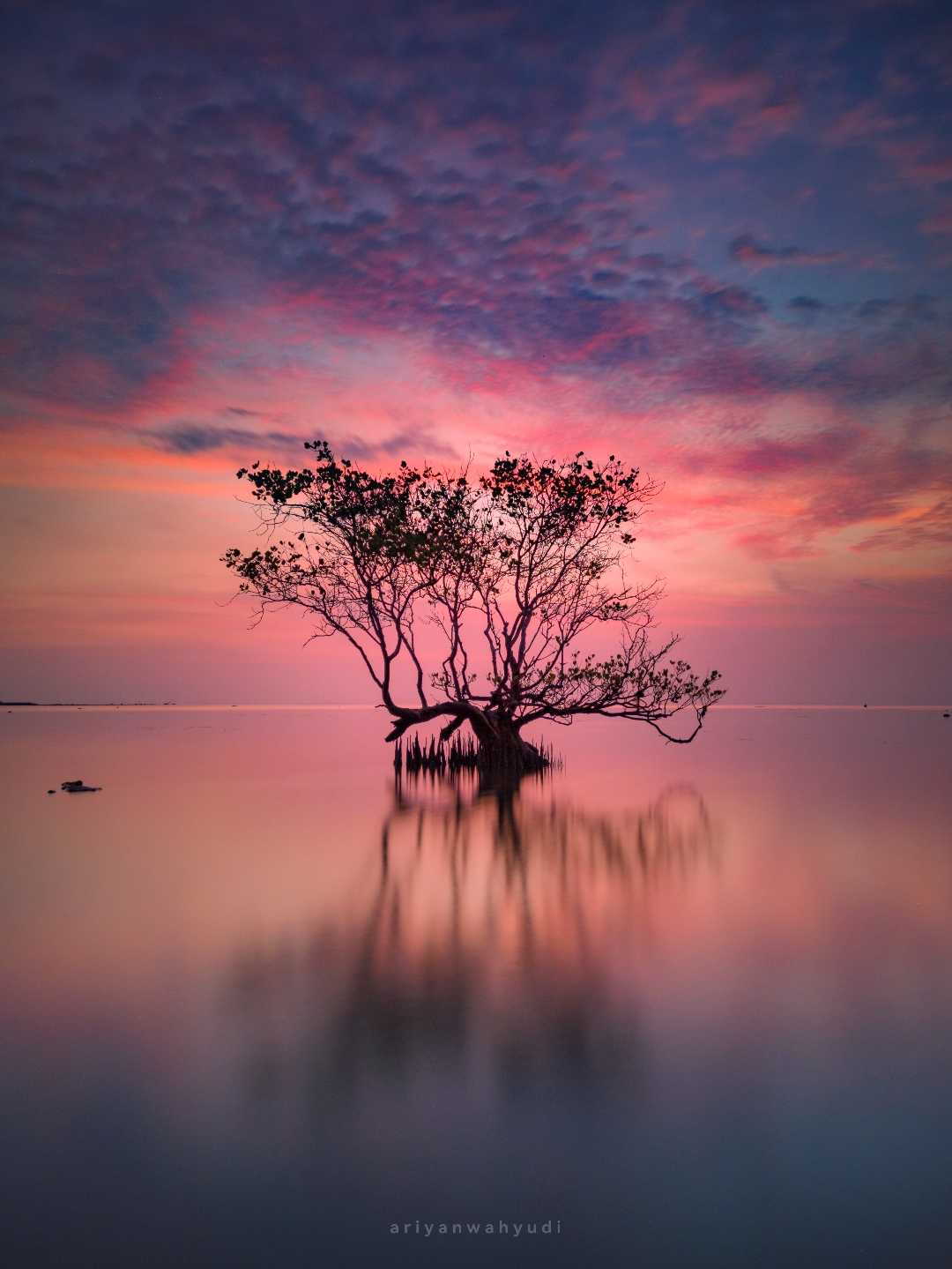 Pantai Ya'ang Labuhan Lamongan