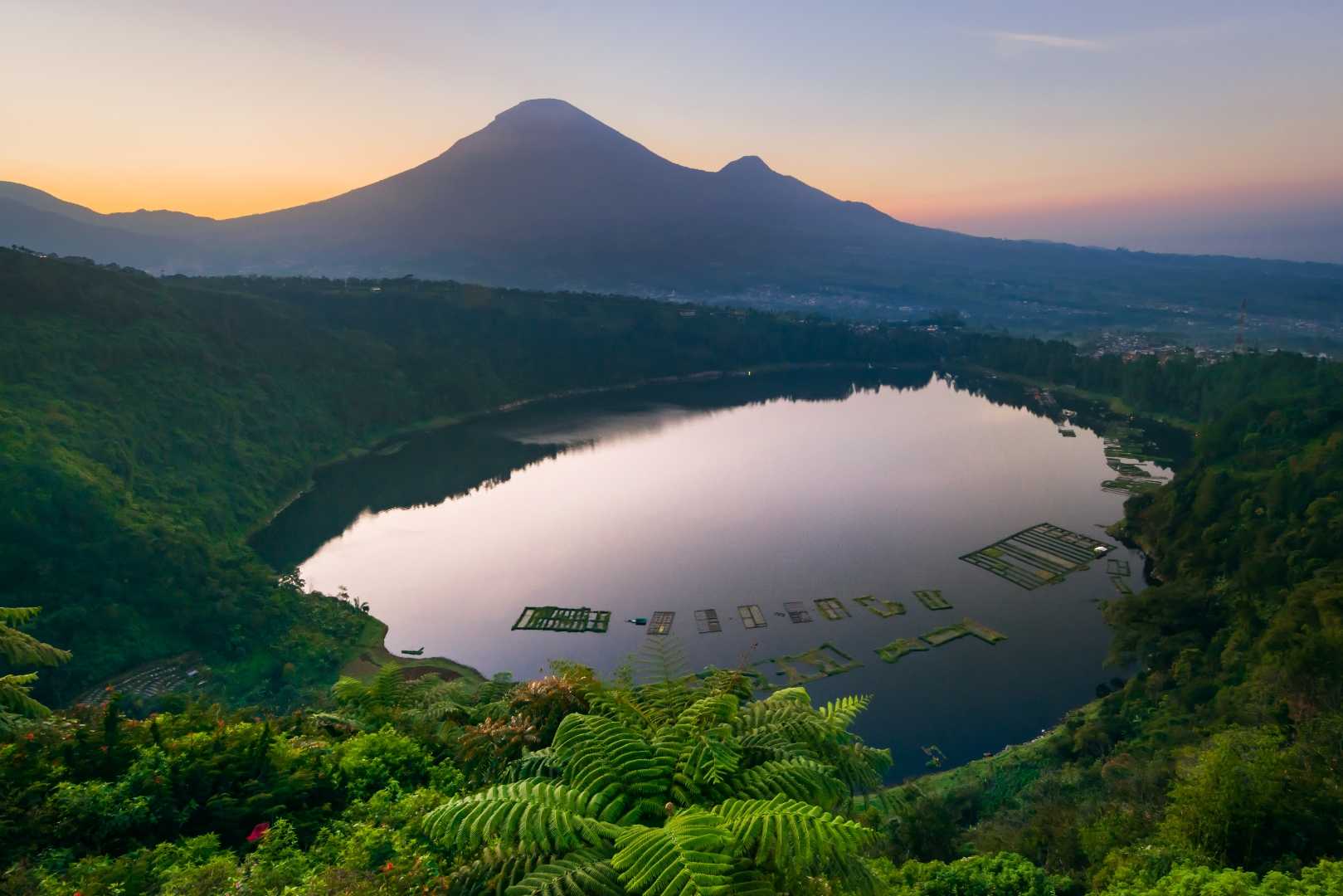 Bukit Seroja Wonosobo 