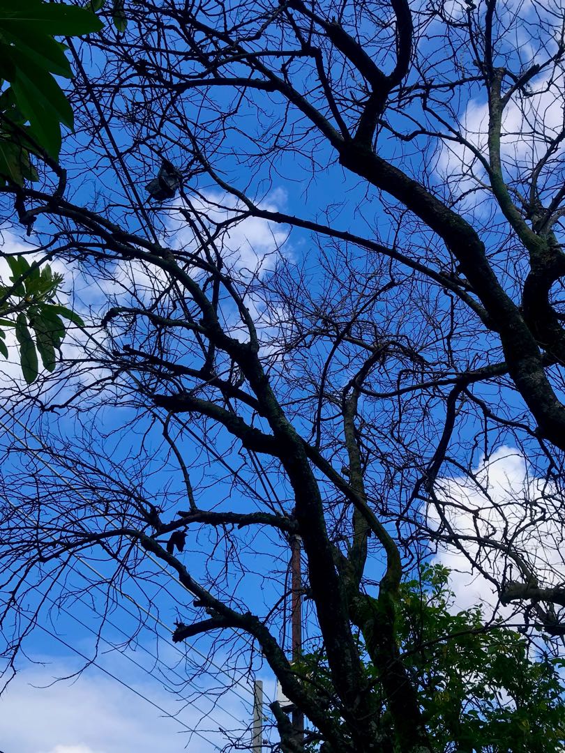 blue sky