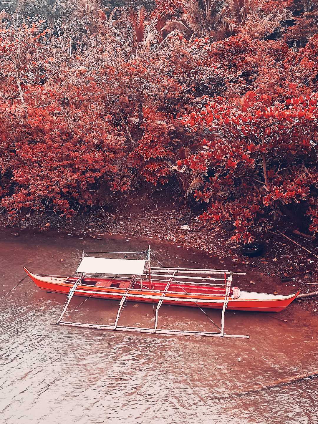 Life's Color